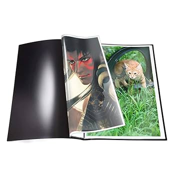 Amazon.co.jp: RAYWOOD B2 ポスターファイル ケース 中紙あり
